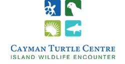 Cayman Turtle Center